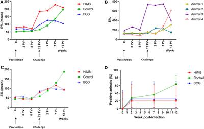 Protective Effect of Oral BCG and Inactivated Mycobacterium bovis Vaccines in European Badgers (Meles meles) Experimentally Infected With M. bovis